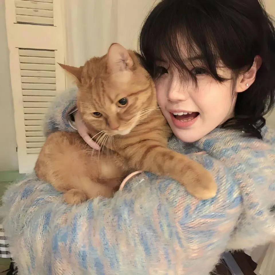 新：绝望的主妇