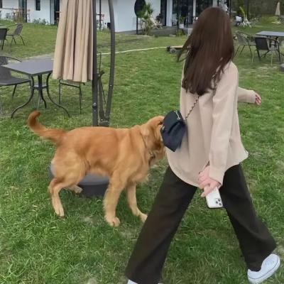 路易斯·韦恩的激情人生